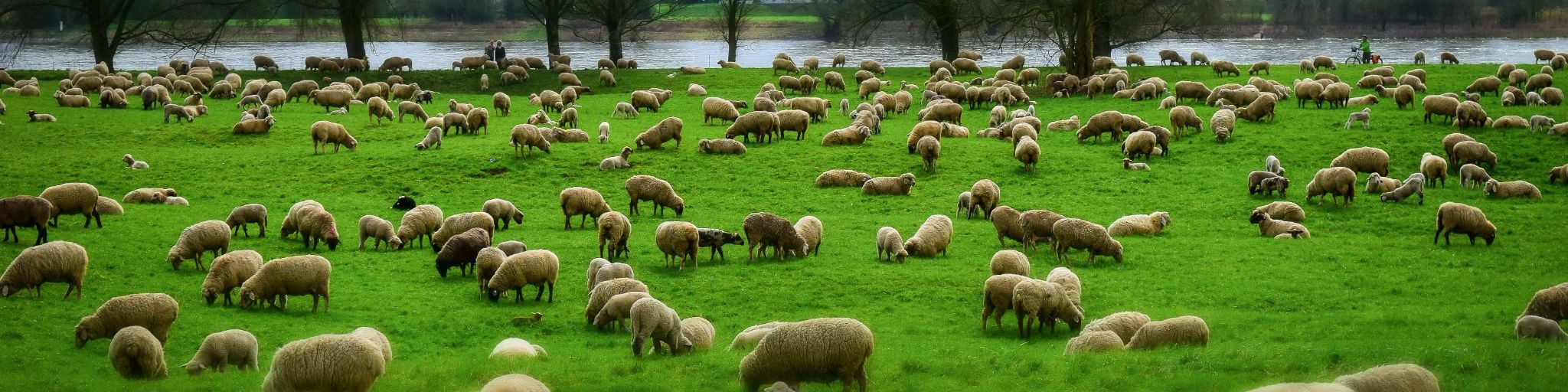 Symbolbild für Gruppen in unserer Pfarrei