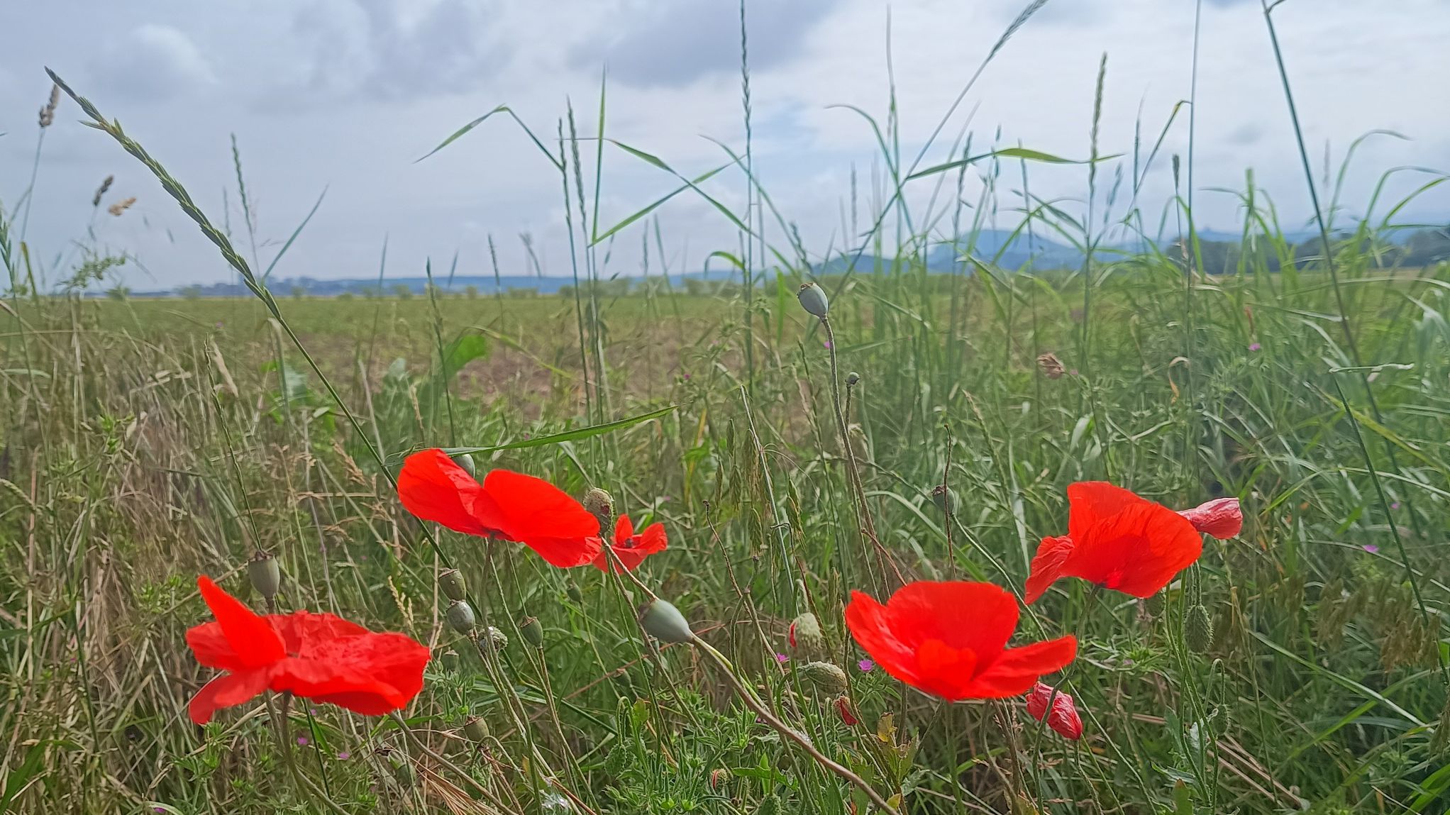 Familienpilgertag 2024